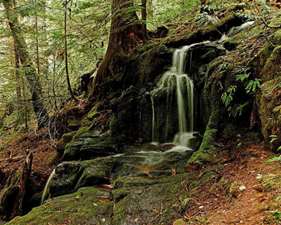 giclee-canvas-printing