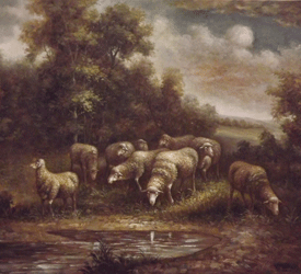48x72